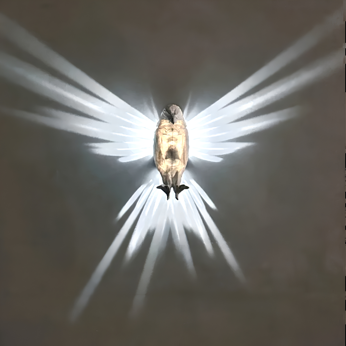 HighFlyer Bird Wall Lamp